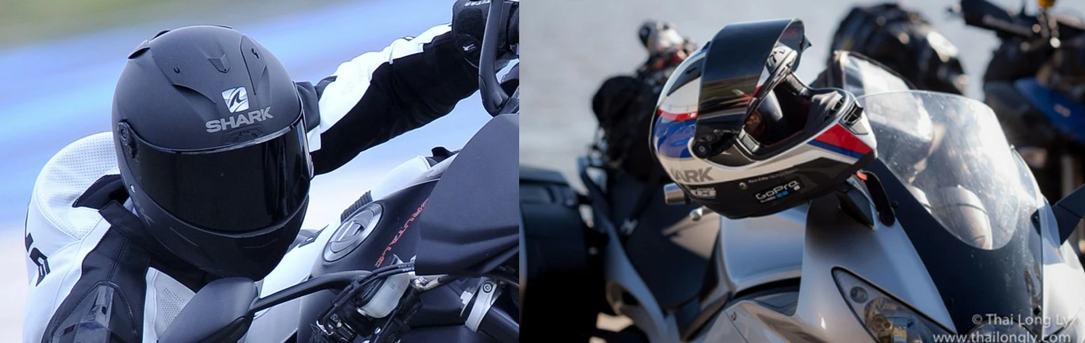 Shark shop 1 Shark shop -Shark shop 10.3